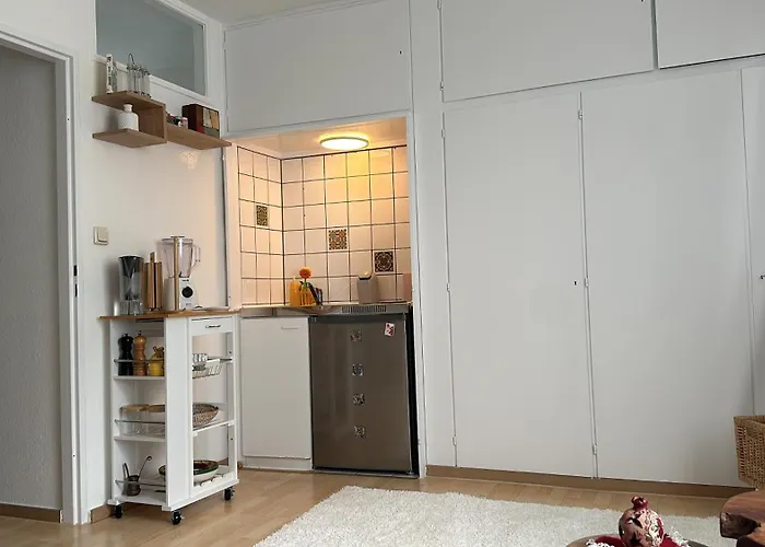 Cosy One Room Apartment In The Heart Of Frankfurt City